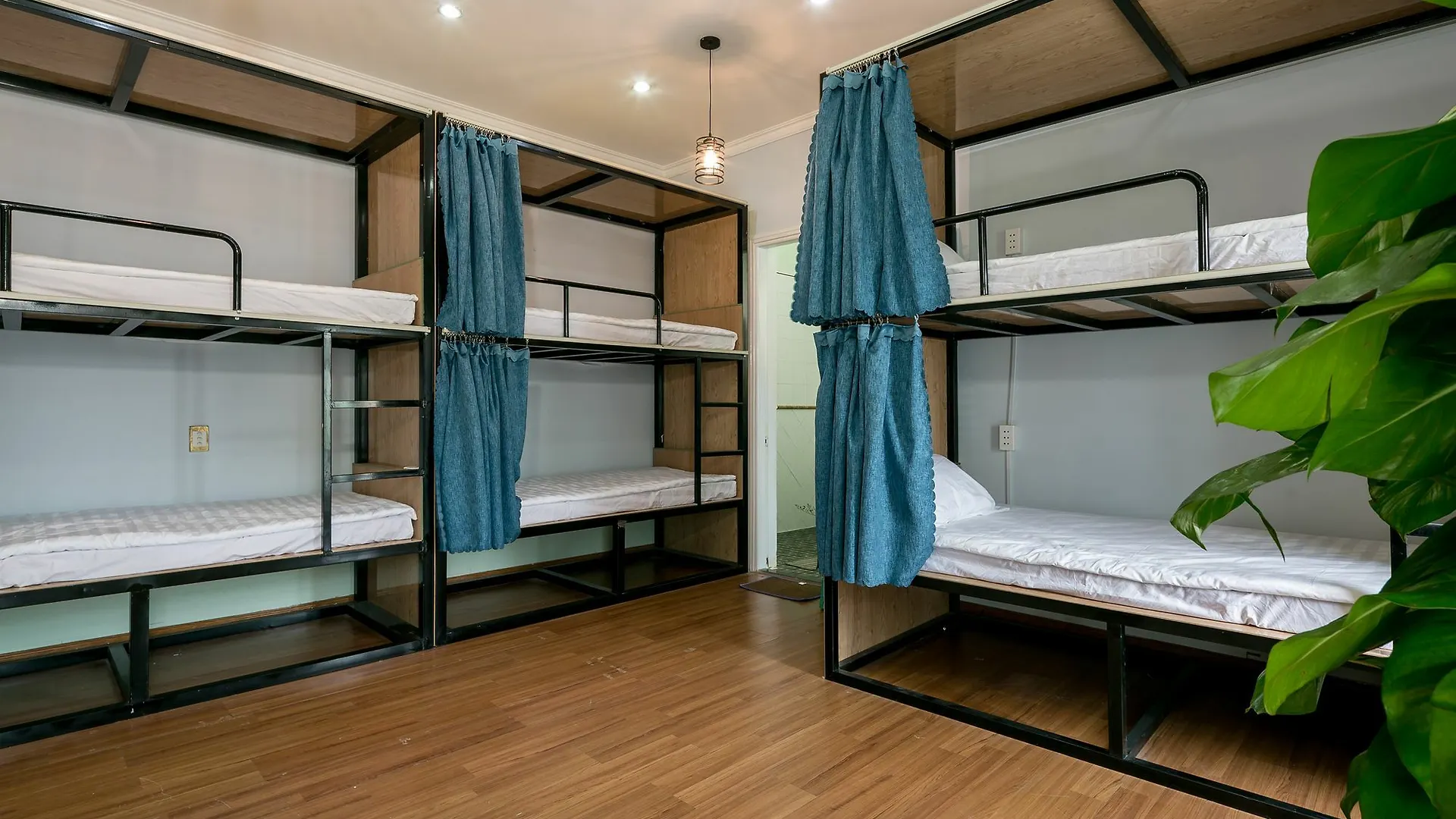 Accommodatie bij particulieren Little Pig Home Da Nang